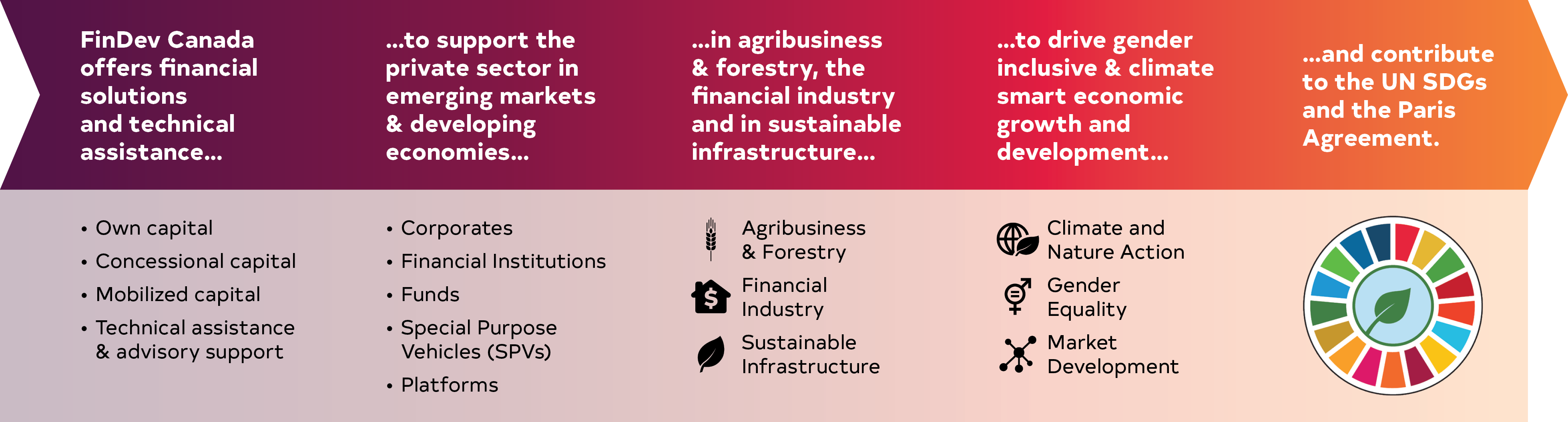 Development Impact Pathway EN